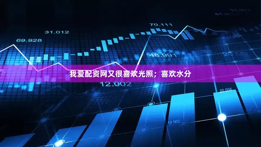 我爱配资网又很喜欢光照；喜欢水分