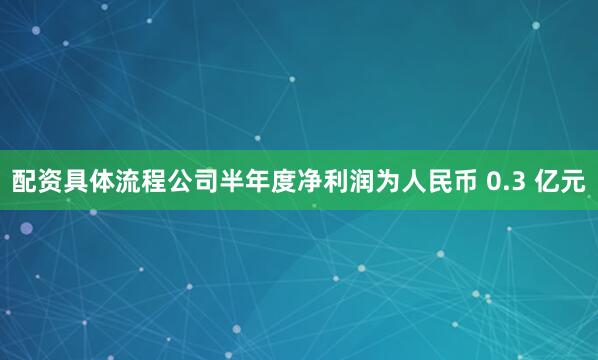 配资具体流程公司半年度净利润为人民币 0.3 亿元